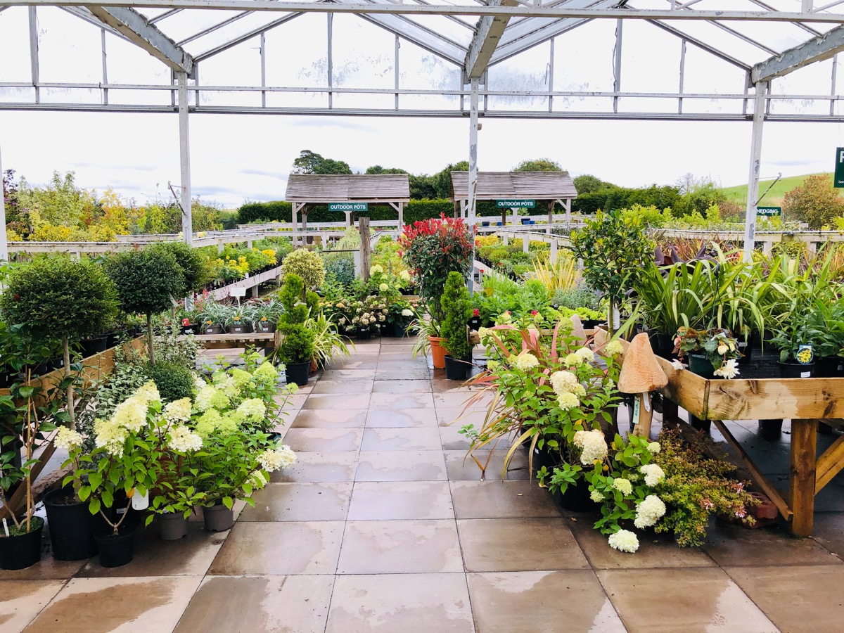 Walkway through plant displays at Bury Bank