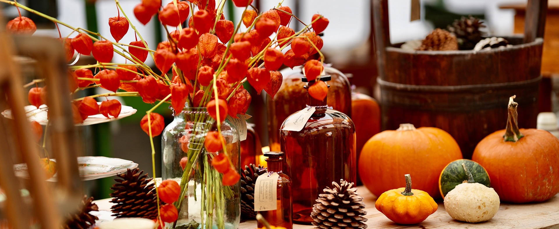 Antique homewares in the Greenhouse Emporium