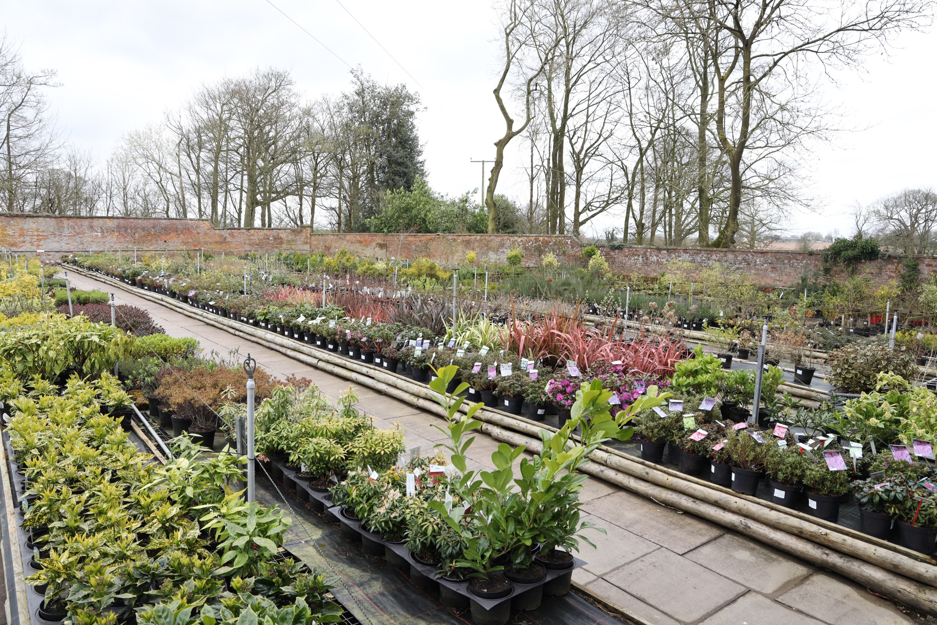 The Walled Nursery at Edwards Garden Centres, Eccleshall